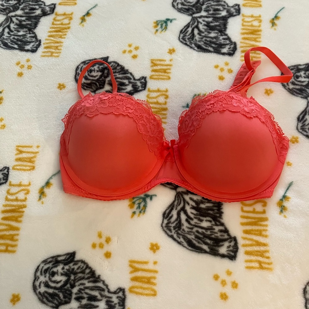 Gilligan & O’Malley Bra-New
